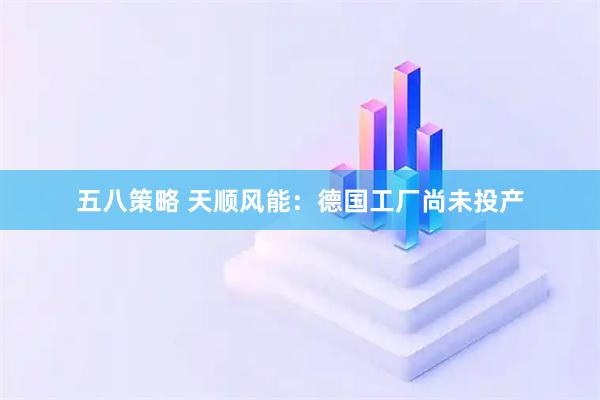 五八策略 天顺风能：德国工厂尚未投产