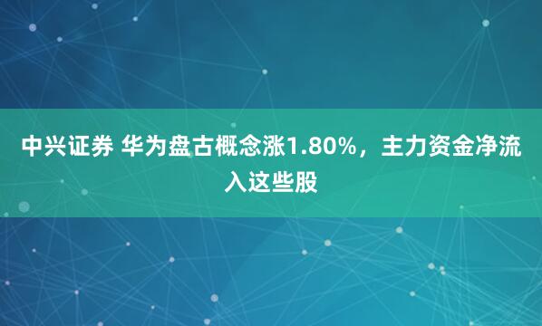 中兴证券 华为盘古概念涨1.80%，主力资金净流入这些股