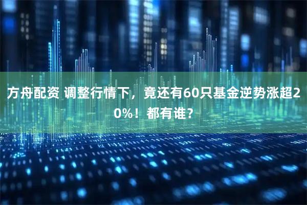 方舟配资 调整行情下，竟还有60只基金逆势涨超20%！都有谁？